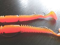 Антикарась-монтаж: рыбалка показала, что зацепов не больше, но ловлю не в завалах