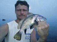 Антикарась и хвосты: рыбалка показала «кусателей», горбылик на джиг-риг и зачётные колючки