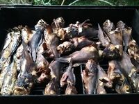 Ассисты на пилькер у пирса: деликатные тычки и резкая смена предпочтений