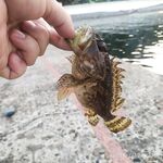 Первый ершик — отметка есть, двигаюсь дальше