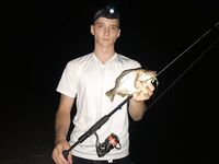 Сочи, Бытха: онлайн-проводка на резину — видовой состав на экране