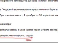 Правки по закону: указали мидии, флуд закрываем — идём ловить