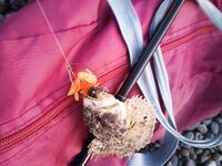 Сукко утром: скорпены и каменный окунь, а когда клюёт сарган на пляже