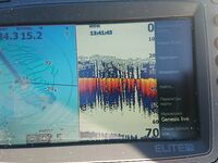 Дневной план: барабуля весь день, ставрида — ранний и ночной выход