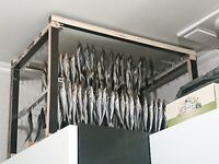 Дневной план: барабуля весь день, ставрида — ранний и ночной выход