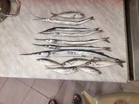 Утренний улов частичный: остальное в раковине моется