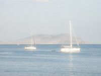 Судак, сын готовится: купит снасти на месте, вода холодная, подводники берут саргана