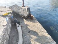 Судак, сын готовится: купит снасти на месте, вода холодная, подводники берут саргана