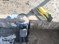 Судак, сын готовится: купит снасти на месте, вода холодная, подводники берут саргана