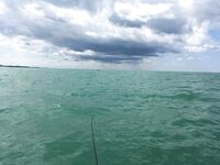 С 6 до 13 с лодки: воблер и пилькер — ноль, самодуром доверху кан за 1,5 часа