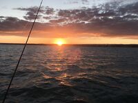 С 6 до 13 с лодки: воблер и пилькер — ноль, самодуром доверху кан за 1,5 часа