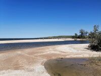 Азов в Крыму: ветер, кефаль идёт исправно, берег в рыбаках