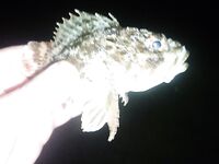 Вечер с 20 до 23: малька тьма у бун, резина ловит, пилькеры молчат