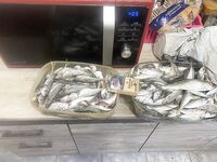 Выход в 6:00, на берег в 12:00: слева жарка, справа коптилка — лодочная смена закрыта