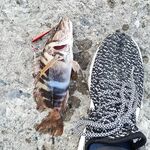 Кто рано встаёт: рассветная проверка точки оправдалась — без суеты собрал рыбу