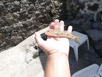 Короткая пометка без сюжета: где локация и на что планируете делать акцент завтра?