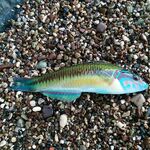 Короткая пометка без сюжета: где локация и на что планируете делать акцент завтра?