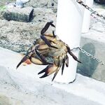 Море и ребёнок: немного рыбалки между купанием — семейный береговой релакс