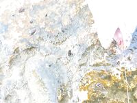 Нет неубиваемой резины: такие зубы съедят всё — спасает только частая замена и дисциплина