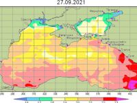 Про раннего саргана: температура воды отличается от Крыма