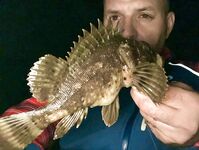 Сочи против Абхазии: ночи до двух и одна утрянка — горбыля нет