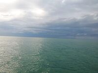 Вышел в море по месту: ветер крутил, ставрида мелкими косяками