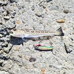 Короткая пометка по выезду без деталей