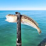 Короткая пометка по выезду без деталей