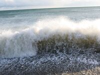 Небуг, волна и грязь: бомбарда по ставриде, скорпена подвела