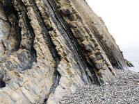 Небуг, волна и грязь: бомбарда по ставриде, скорпена подвела