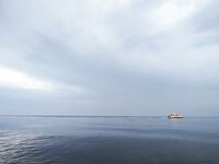 Свал 4→7 м: отборный карась на маракуйю, сход горбыля у лодки — крючок не выдержал