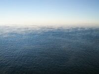 Воздух +7, вода ~20: пар над гладью и аккуратные поклёвки на 8 г с подсадкой