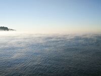 Воздух +7, вода ~20: пар над гладью и аккуратные поклёвки на 8 г с подсадкой