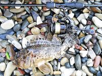 Воздух +7, вода ~20: пар над гладью и аккуратные поклёвки на 8 г с подсадкой