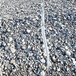 Луфарь в темноте: серия поклёвок с 5:30 до рассвета, днём — карандаши и пауза