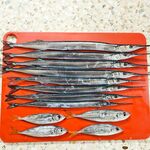 После штормов — вяло: мало саргана, почти нет ставриды, место не угадал