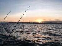 Последний выезд года: туман, северняк и пассивный луфарь, а ставрида с окунем держали темп