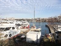 Последний выезд года: туман, северняк и пассивный луфарь, а ставрида с окунем держали темп