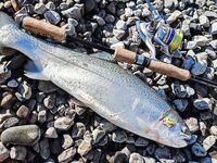 Гурзуф, волнорез и форель 1,3 кг: крэнк 1,1 г, флюр 0,16, плюс две зеленухи на поплавок