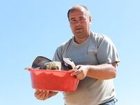 Керченский пролив в сентябре: штиль редок, полведра бычков и котлеты по классике