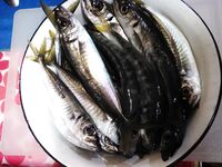 Учкуевка вечером: короткие подходы ставриды, музыка в ушах и спокойный темп