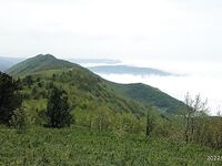 Геленджик, Тонкий мыс: смарида на мах и кивок; вода 11–12°, микроджиг уступил