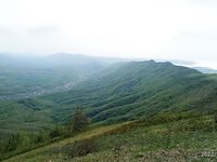 Геленджик, Тонкий мыс: смарида на мах и кивок; вода 11–12°, микроджиг уступил