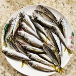 Лазаревская дождалась: первая мелкая — долгожданная отметка сезона