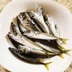 Вечерний коридор 21–23: редкие поклёвки держат в тонусе, дальше будет лучше