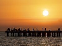 Новофёдоровка под шторм: поплавочники ловили лучше, снял пирс и толпу