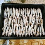 Барабуля радует: с 4:30 до 8 на протяжку, актив и размер — без скучных донок