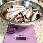 С берега на протяжку с 5 до 9: ветер и волна — не помеха, когда рыба есть