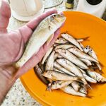 Утренний прострел на червя: протяжка с 6 до 9 — рабочая, без лишней суеты