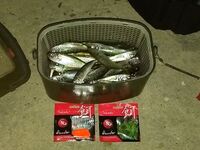 Ерш забастовал — ставрида пошла: тироль 6 г и такеда саламандра 5 см решают